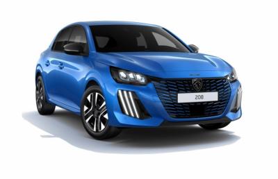 Photo Peugeot 208 Allure Hybride 100 e-DSC6