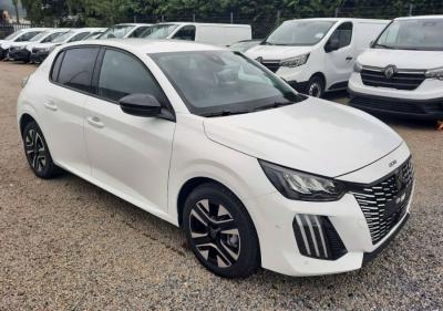 Photo Peugeot 208 Allure hybride 110cv Dsc6